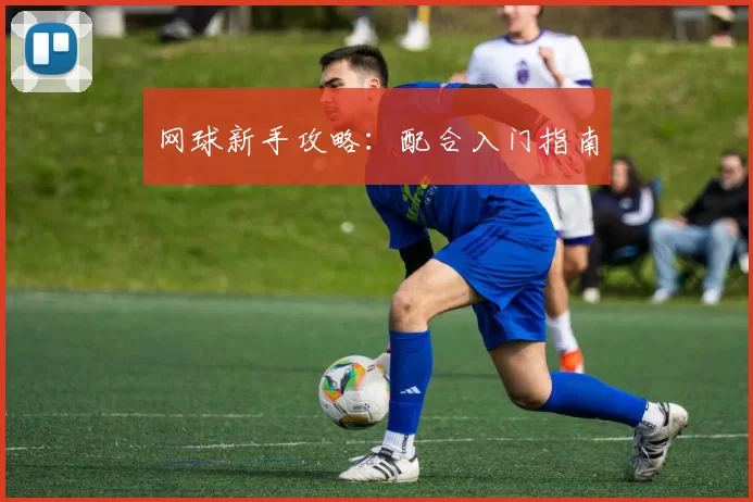 网球新手攻略：配合入门指南