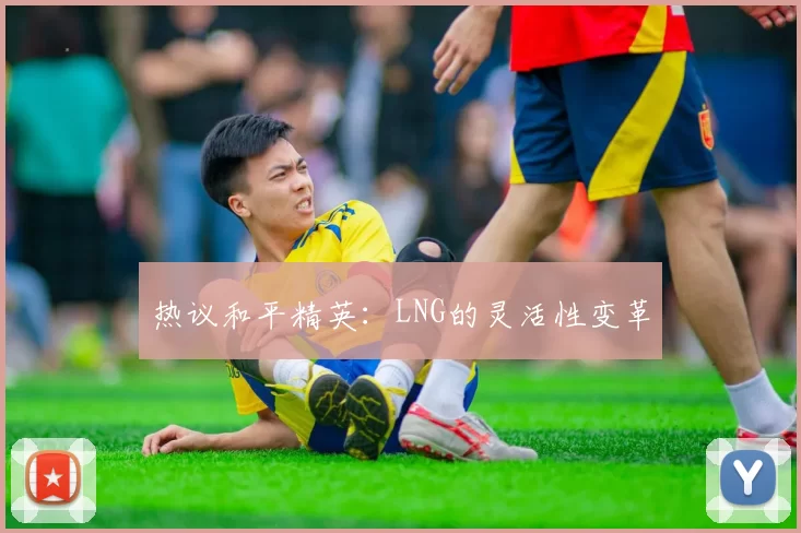 热议和平精英：LNG的灵活性变革