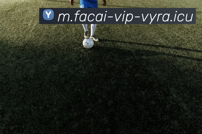 乐鱼体育品牌故事